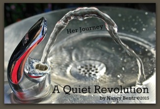A Quiet Revolution - IS